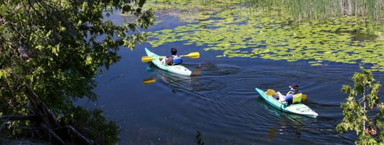 Outlet River, Image 13-6392a