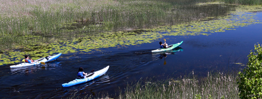 Outlet River, Image 13-6405a