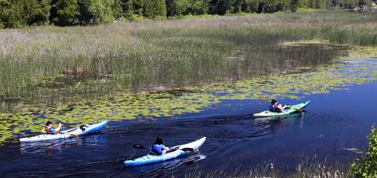 Kayakers on the Outlet River