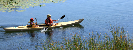 Outlet River, Image 16-6206a
