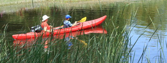 Outlet River, Image 17-10016a