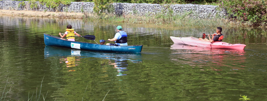 Outlet River, Image 17-10022a