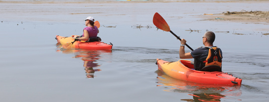 Outlet River, Image 17-10039a