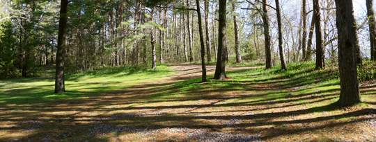 Group Campsite 501
