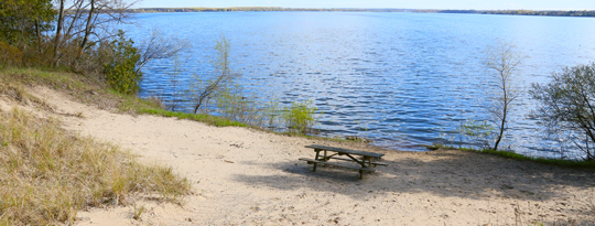 Group Campsite 501