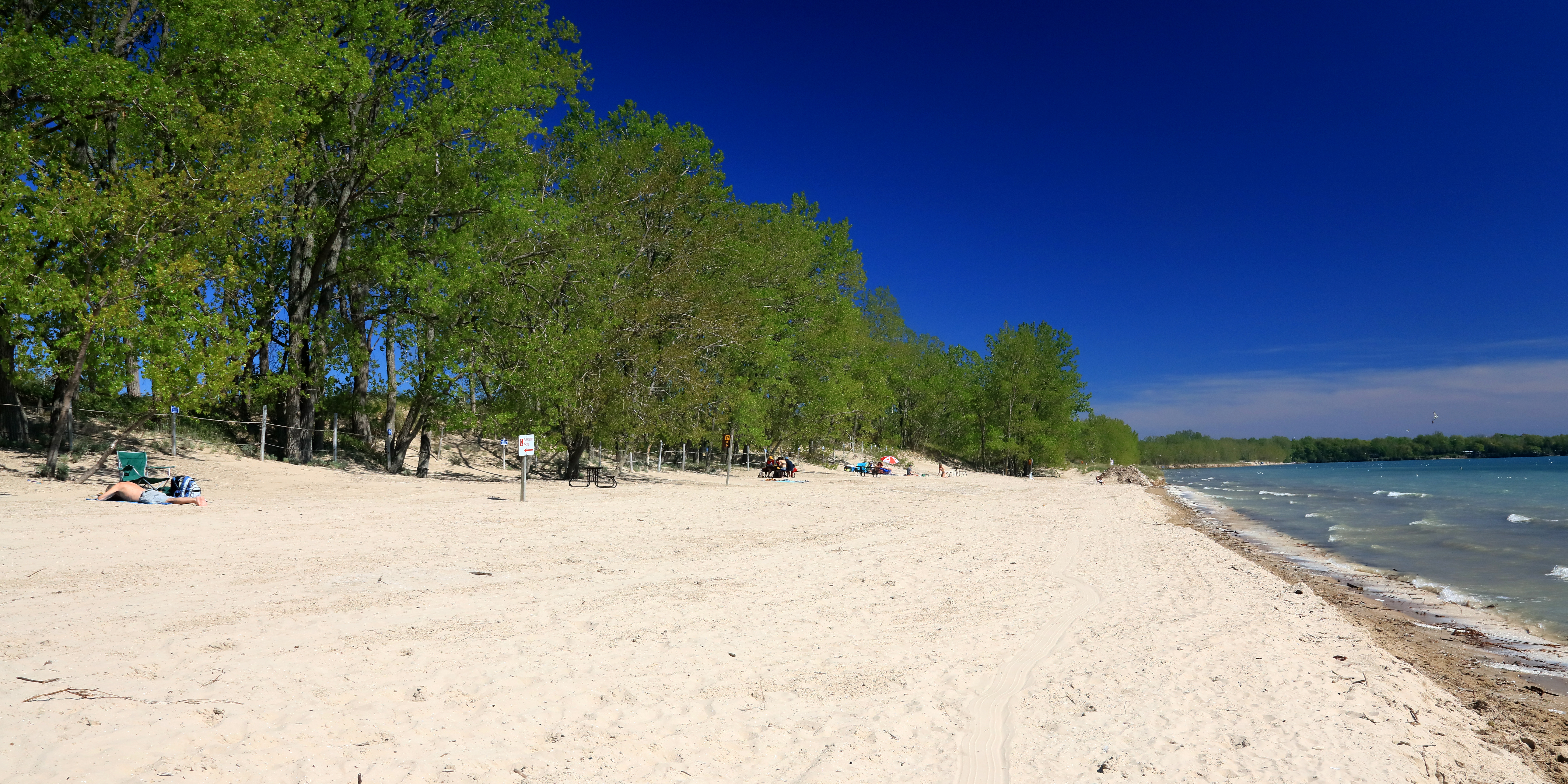Outlet Beach, June 2019