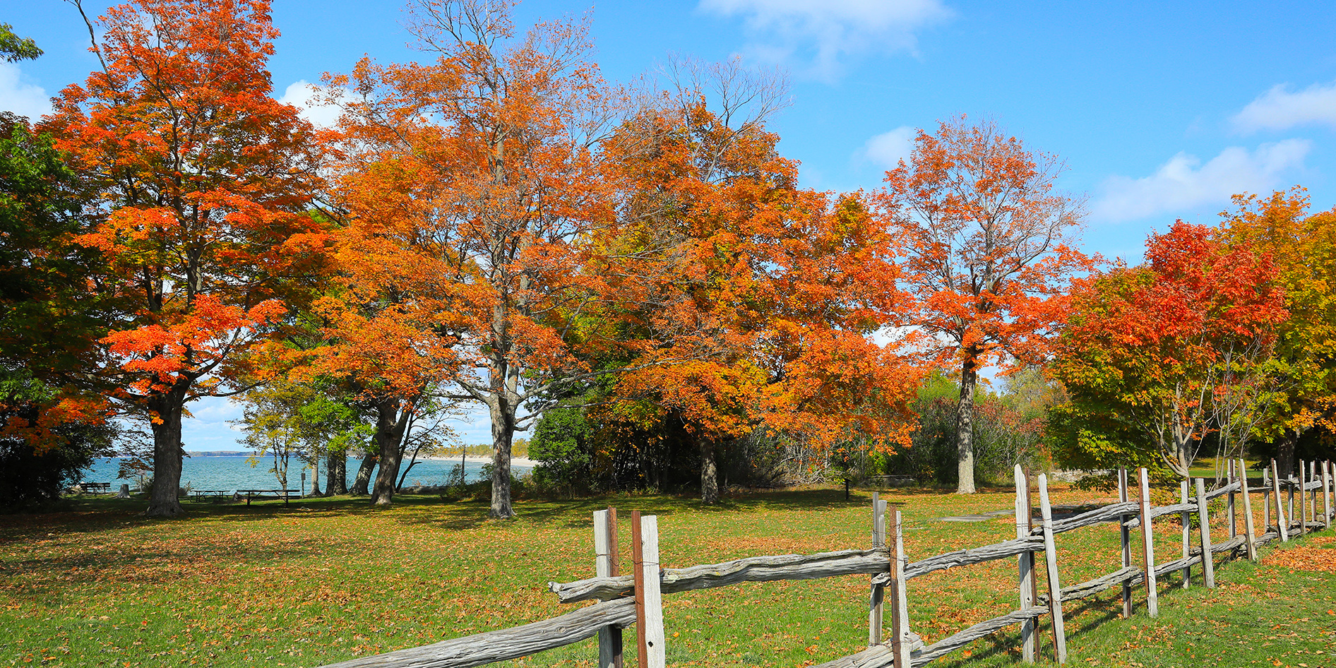 Fall at Lakeshore Lodge