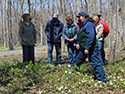 Mother's Day Wildflower Walk 2014