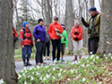 Mother's Day Wildflower Walk 2016