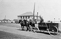 Lakeland Point, Lakeland Lodge