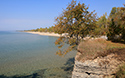 Fall colours at Sandbanks