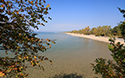 Fall colours at Sandbanks