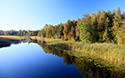 Fall colours at Sandbanks