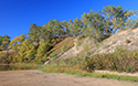 Fall colours at Sandbanks