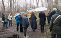 Mother's day Wildfower Walk and Tea 2019
