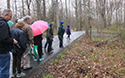 Mother's day Wildfower Walk and Tea 2019