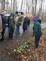 Mother's day Wildfower Walk and Tea 2019