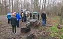 Mother's day Wildfower Walk and Tea 2019