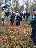 Mother's day Wildfower Walk and Tea 2019
