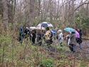 Mother's day Wildfower Walk and Tea 2019