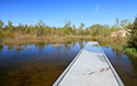 Dunes Boardwalk Project