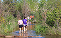 Dunes Boardwalk Project