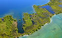 Main Duck Island Aerial 2019
