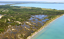 Lakeshore Beach, South