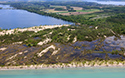 Dunes and Pannes