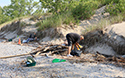 Healthy Parks Healthy People Beach Cleanup 2019