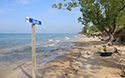 Healthy Parks Healthy People Beach Cleanup 2019