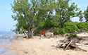 Healthy Parks Healthy People Beach Cleanup 2019