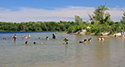 North Beach, Prince Edward County 2019