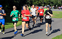 Sandbanks Fall Getaway Fun Run 2019