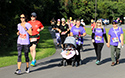 Sandbanks Fall Getaway Fun Run 2019