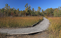 Dunes Boardwalk Project