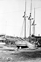 Marsden Kemp Image Collection
