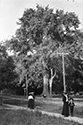 Marsden Kemp Image Collection
