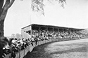 Marsden Kemp Image Collection