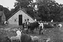 Marsden Kemp Image Collection