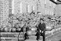 Marsden Kemp Image Collection