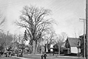 Marsden Kemp Image Collection