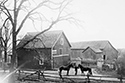 Marsden Kemp Image Collection