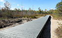 Dunes Boardwalk Project