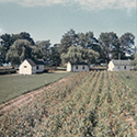 Shore Acres Farm
