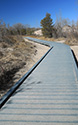 Dunes Boardwalk Project 2021