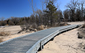 Dunes Boardwalk Project 2021