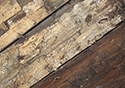 Moses Hudgin Log House