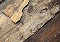 Moses Hudgin Log House