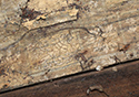 Moses Hudgin Log House